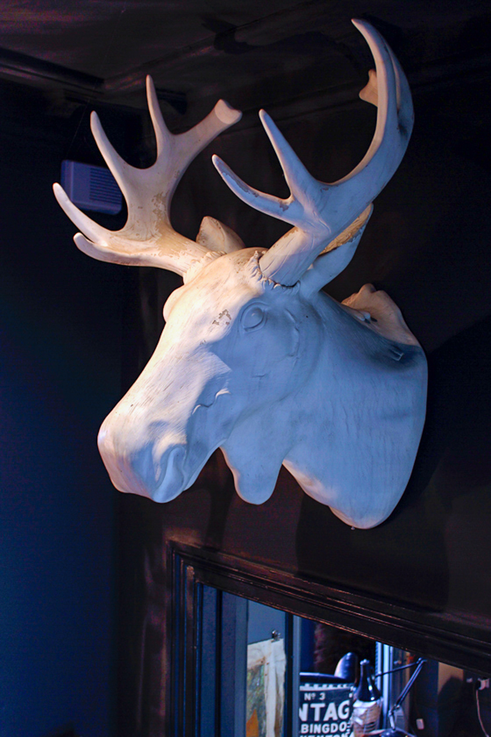 White moose hanging over the doorway at Abigail Ahern's home